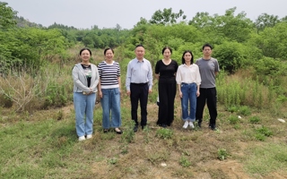 365英国上市网站官网教职工开展花山公园春游踏青活动